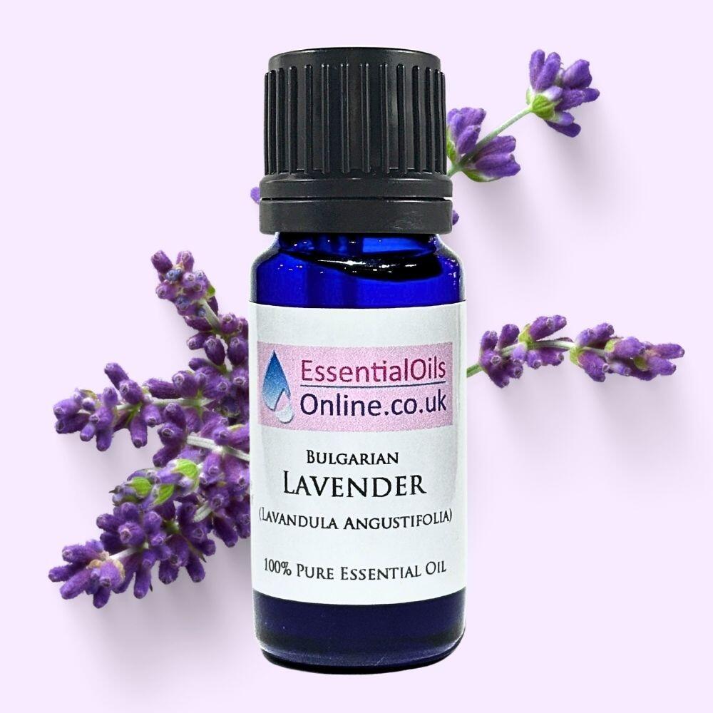 Bulgarian Lavender essential oil