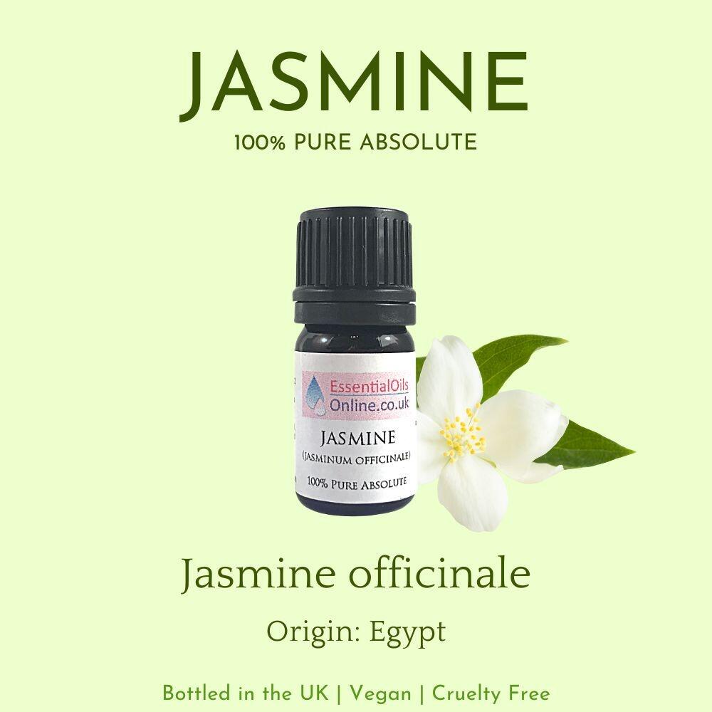 Jasmine Absolute Oil Information