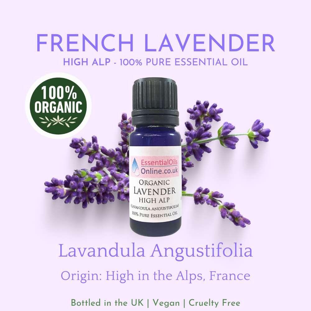 Organic High Alp French Lavender essential oil information