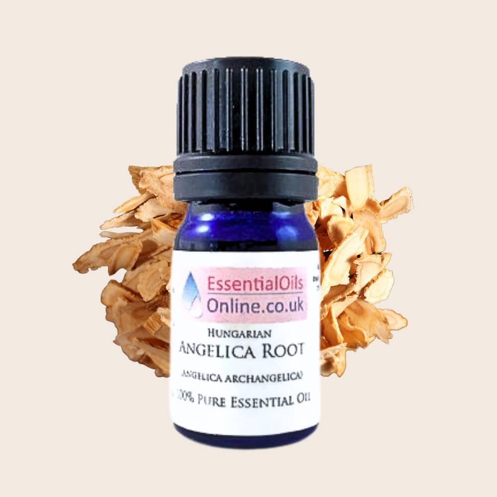 Angelica Root Essential Oil