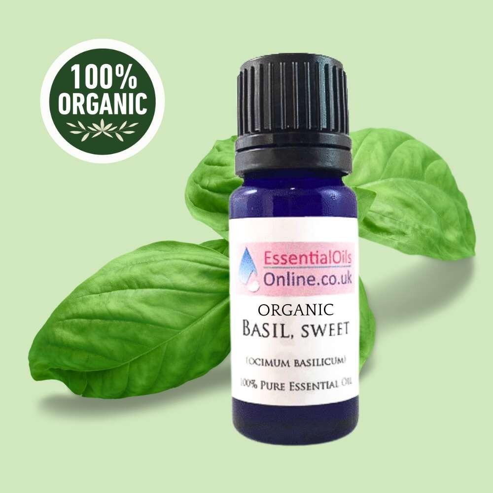 organic basil essential oil