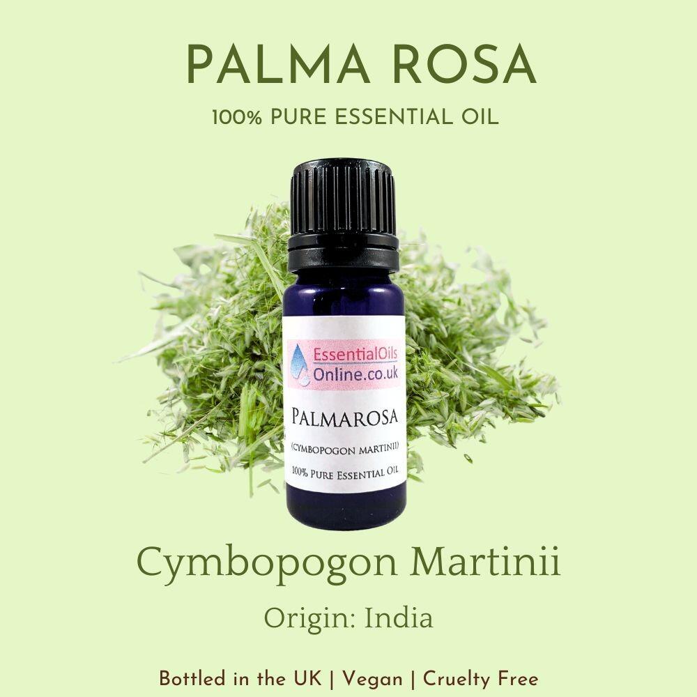 Palma Rosa essential oil information
