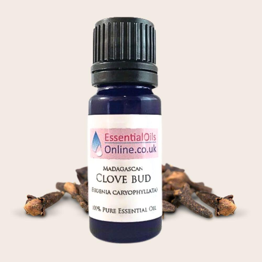 Clove bud essential oil