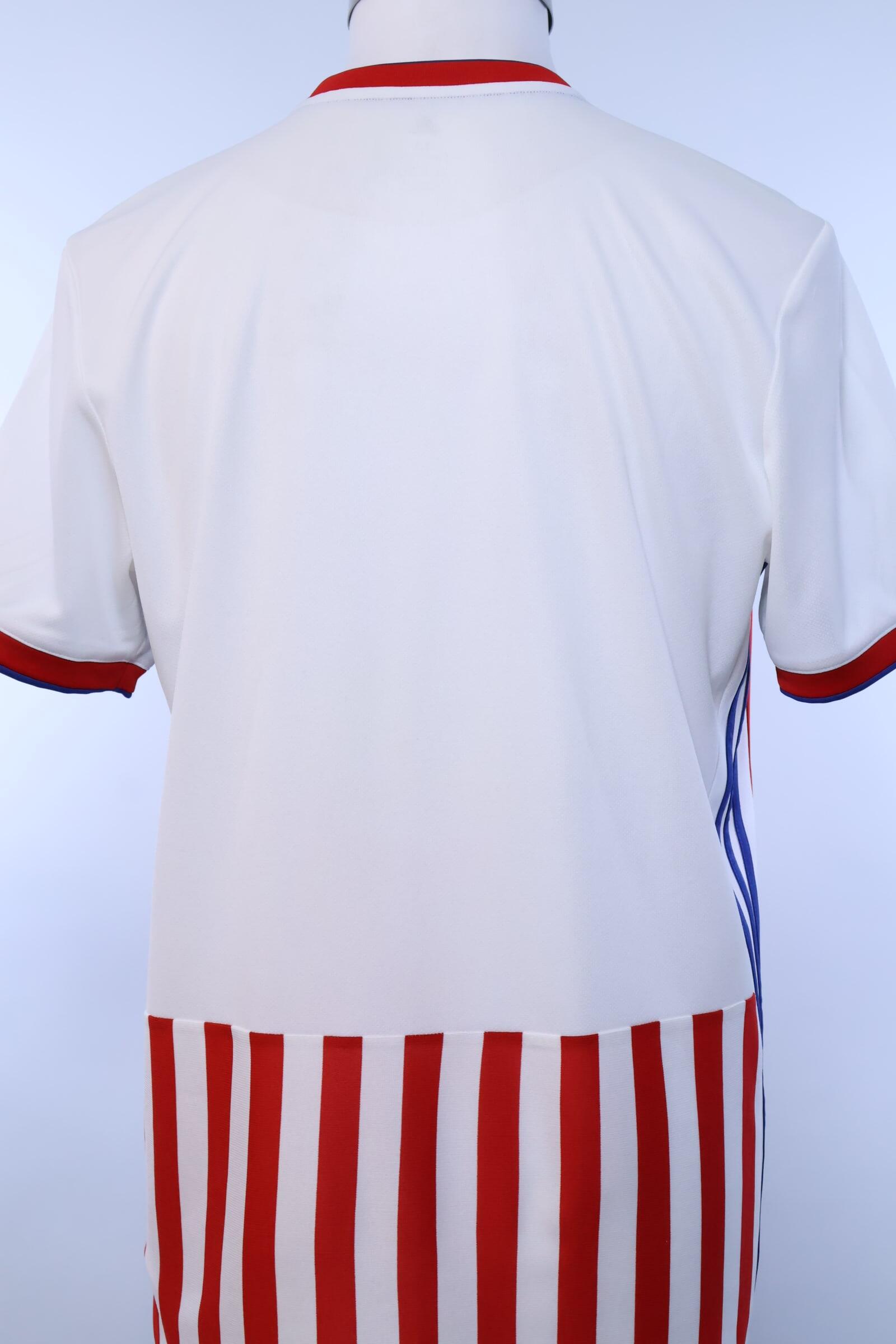 Paraguay 2018/19 Home Shirt - M Authenic Original Football Shirt