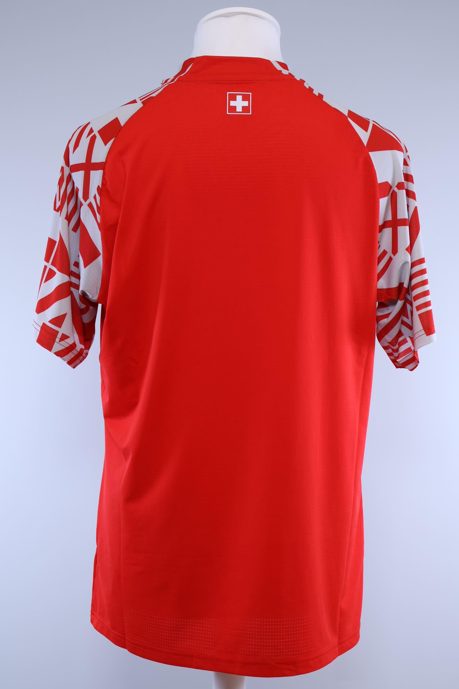 Switzerland 2022/23 Prematch Shirt - L Authenic Original Football Shirt