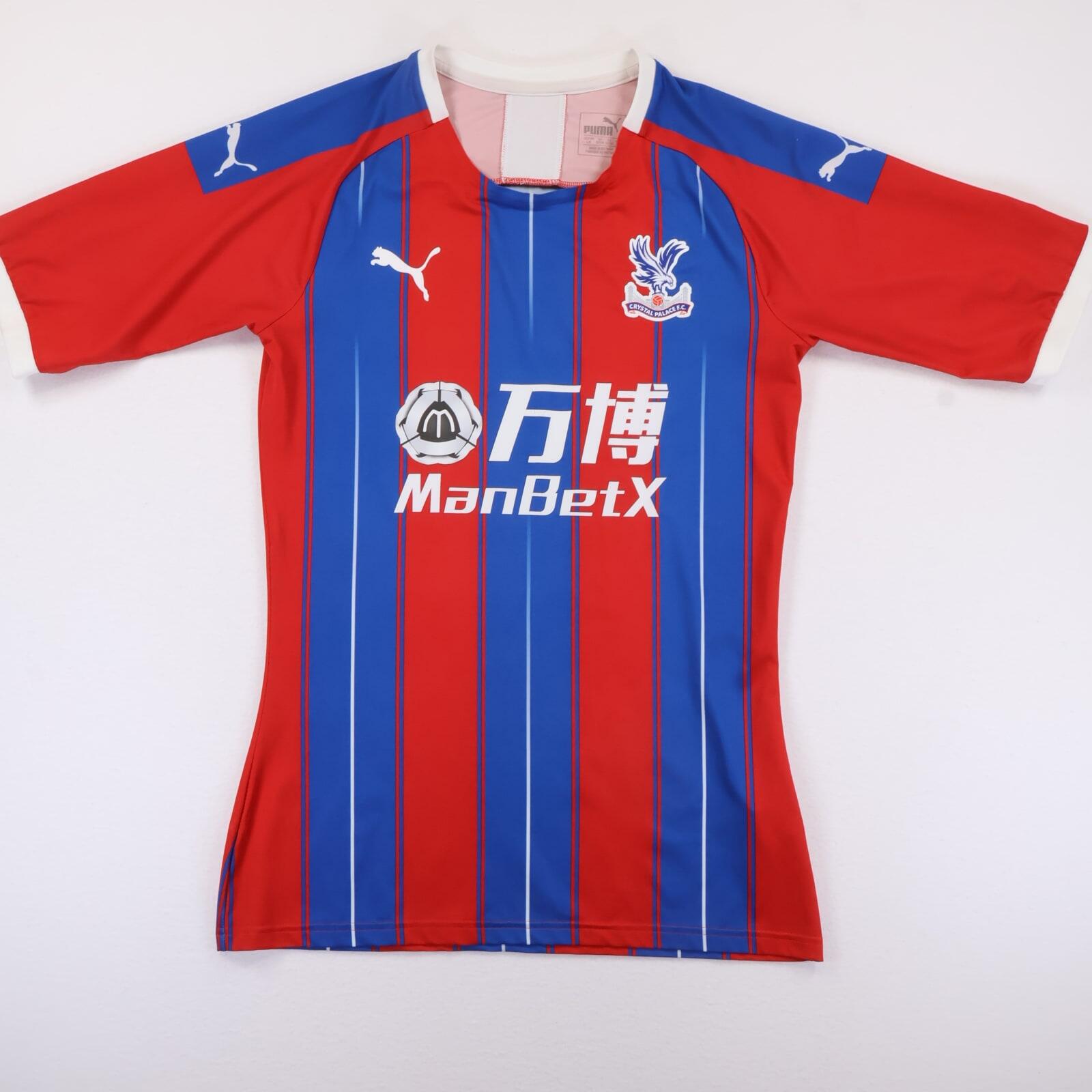 Crystal Palace 2019/20 Home Shirt - L- FRONT