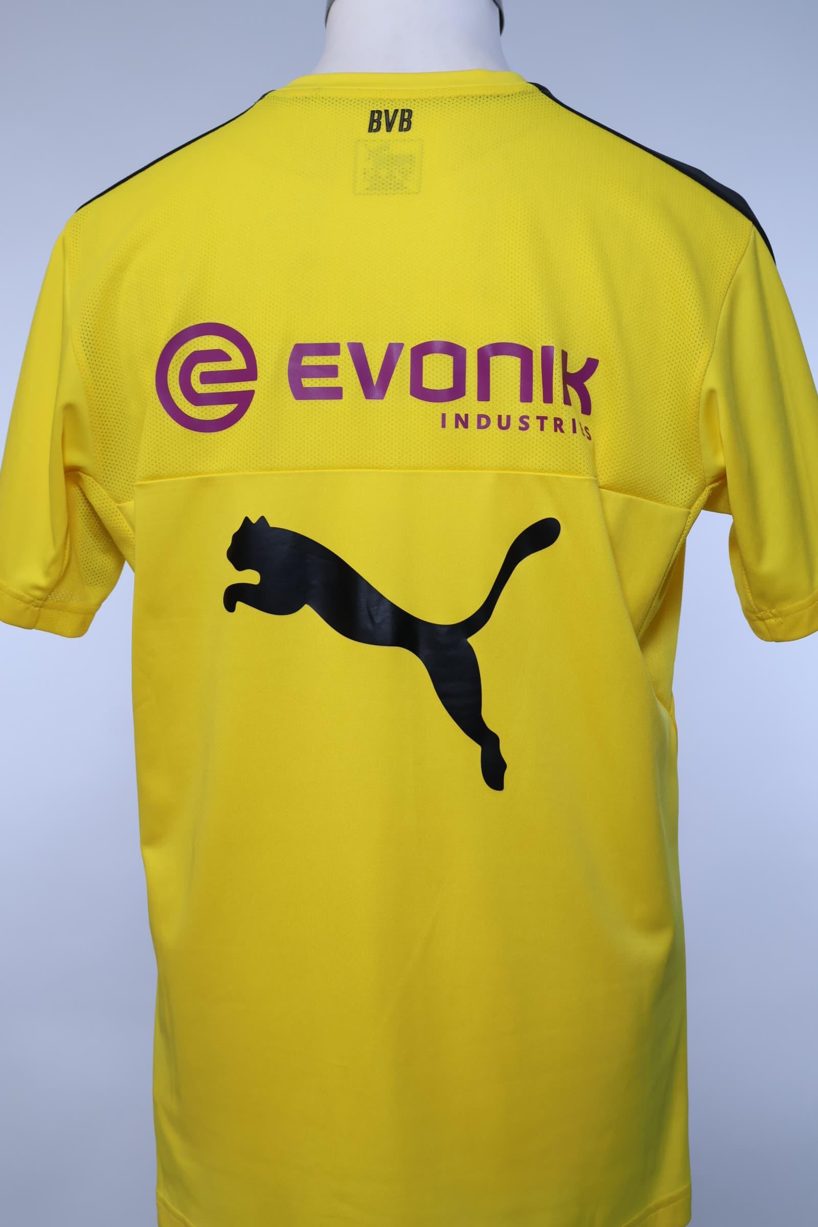 Borussia Dortmund 2016/17 Training Shirt - L Authenic Original Football Shirt