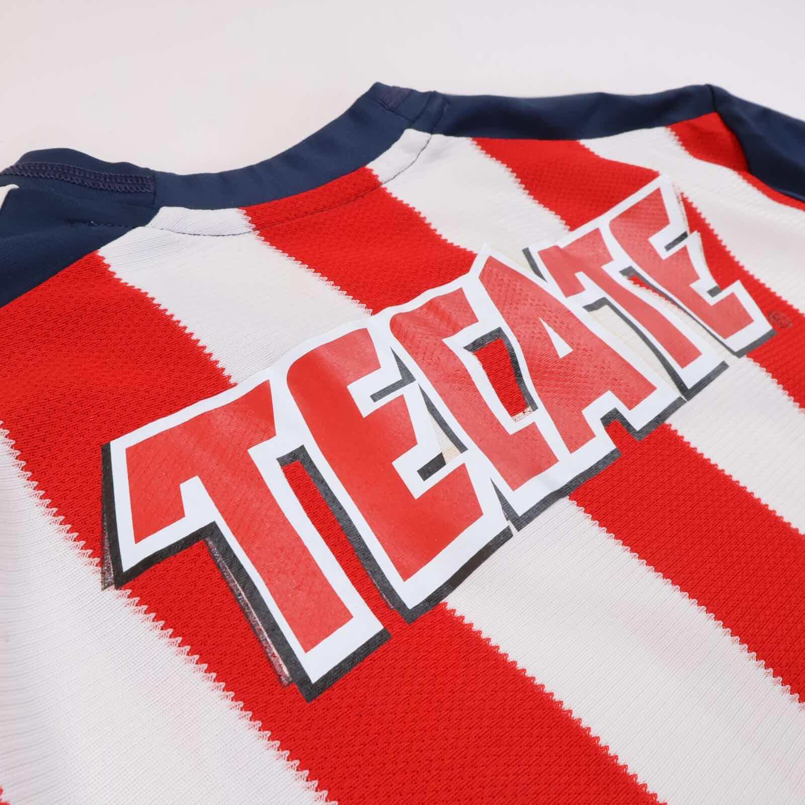 Club Deportivo Guadalajara 2013/ Home Shirt - L