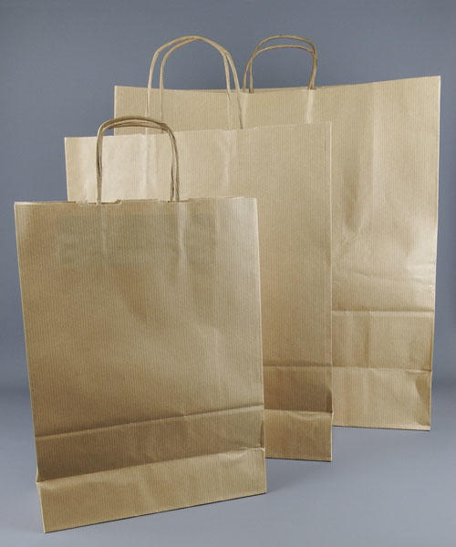 Brown paper bags with twist handle