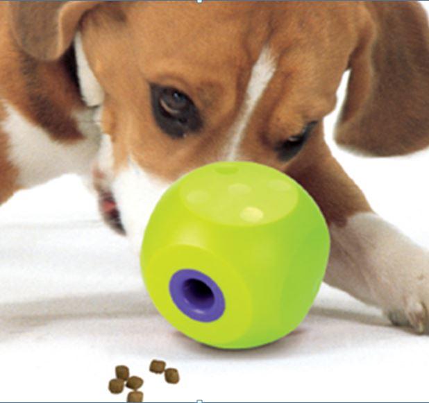 buster cube for dogs