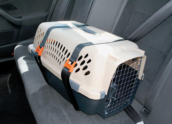 Pet Car Seat Carrier Strap Carrier Not Included Kurgo Dog Carrier Keeper Black 