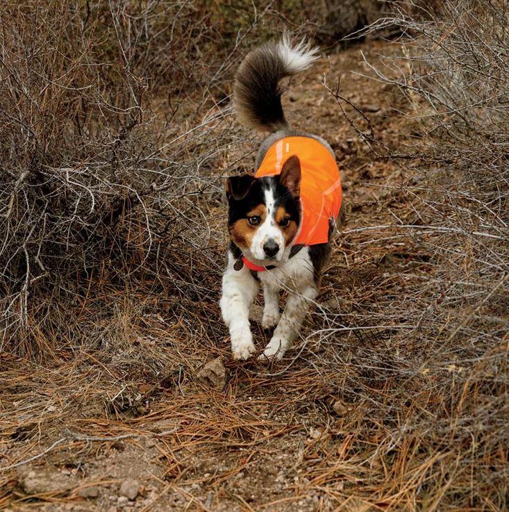 ruffwear reflective dog vest