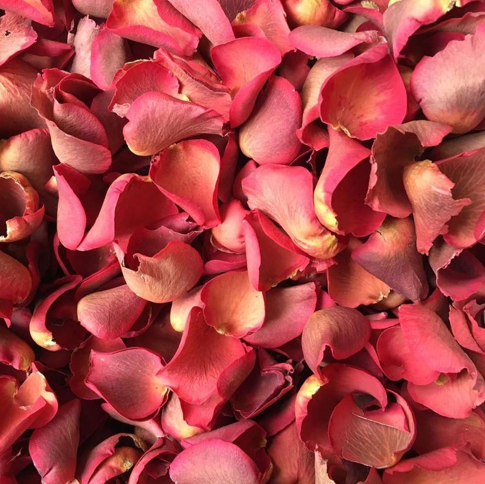 Confetti Sale