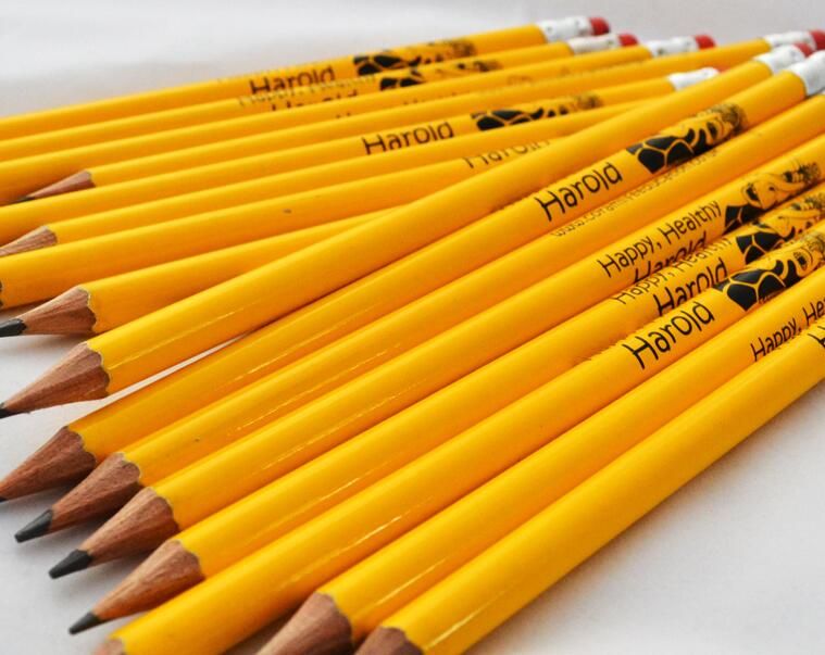 The Power of the Pencil