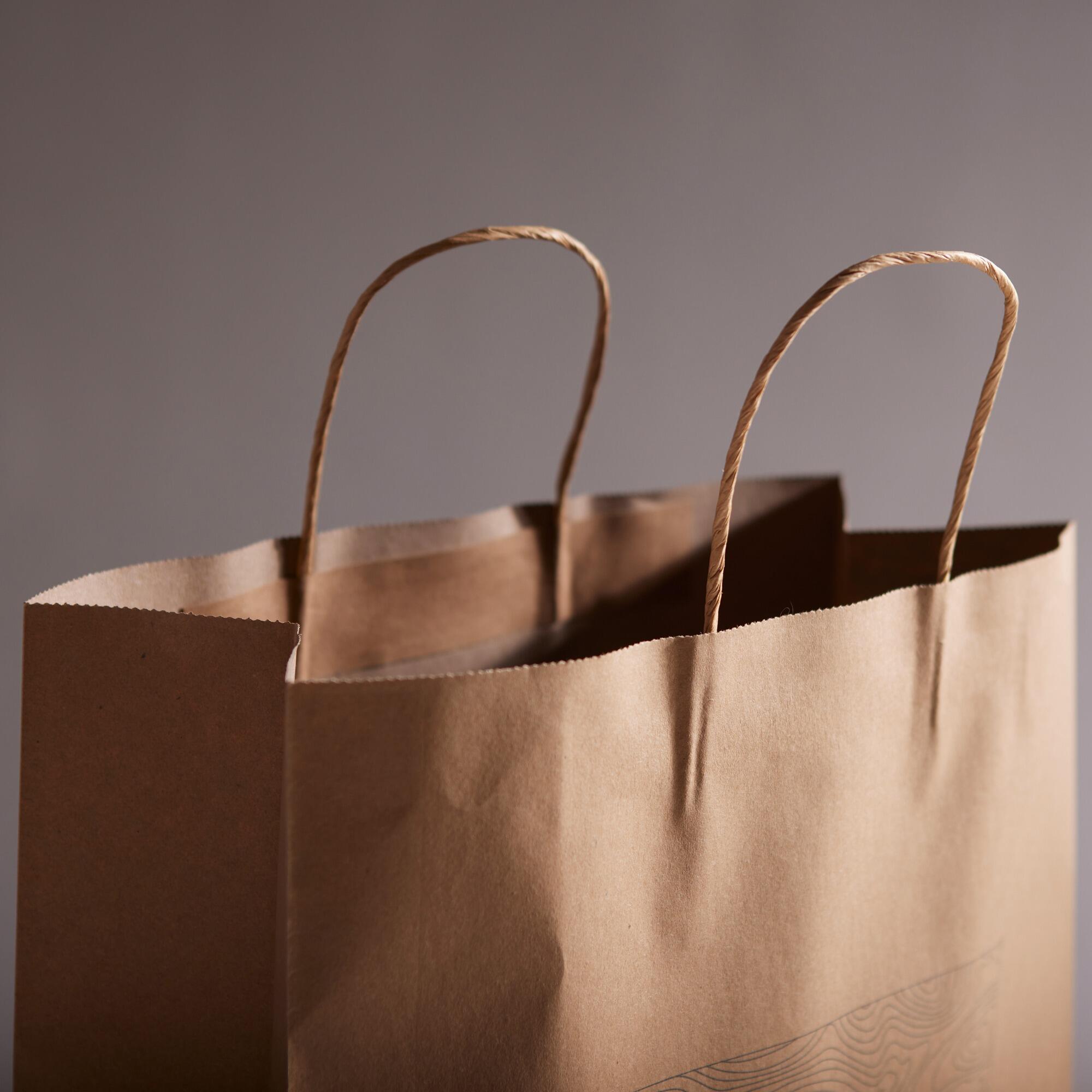 Twisted handle manila natural brown A5 c ustom logo printed kraft paper bags