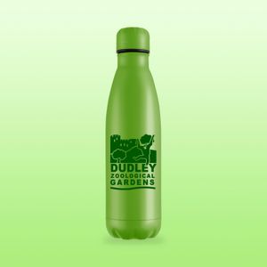 Matt green company logo printed metal promo bottle