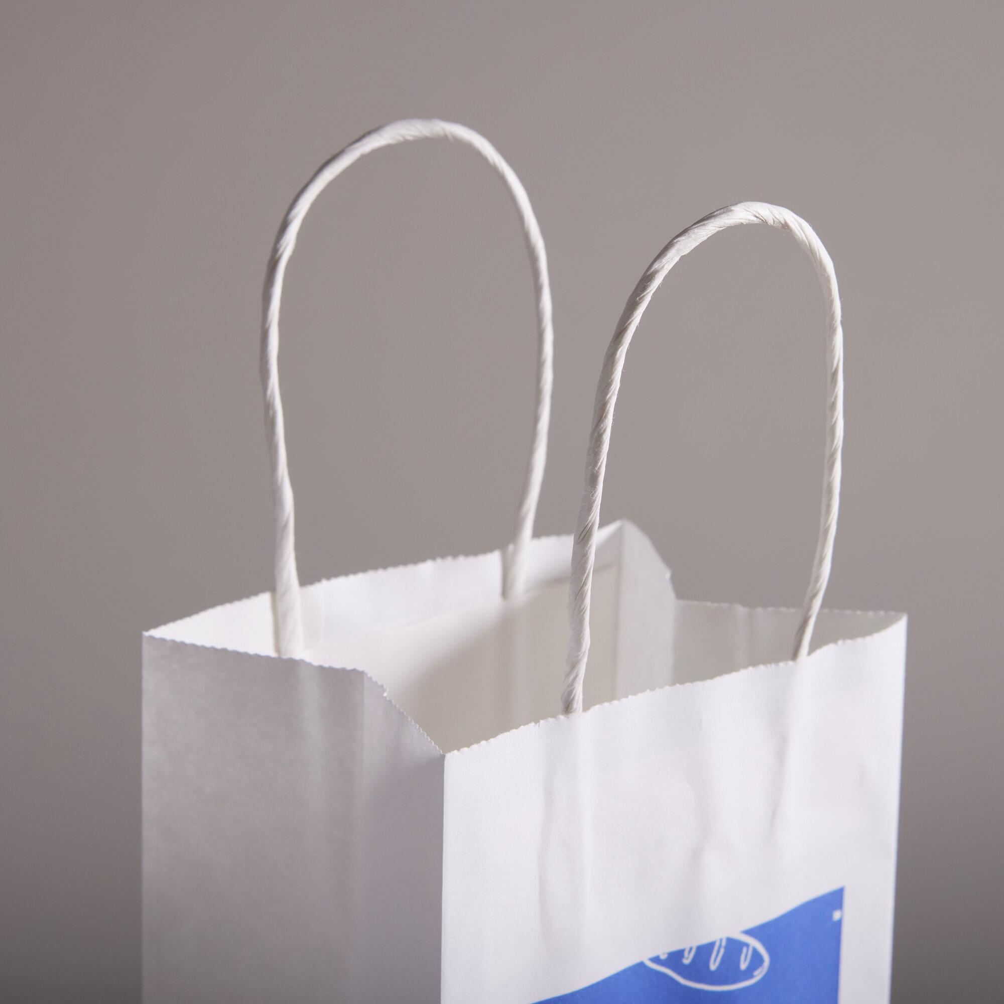 Large White Cost Effective Twisted Paper Handle Kraft Bags