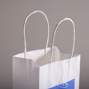 Large White Cost Effective Twisted Paper Handle Kraft Bags