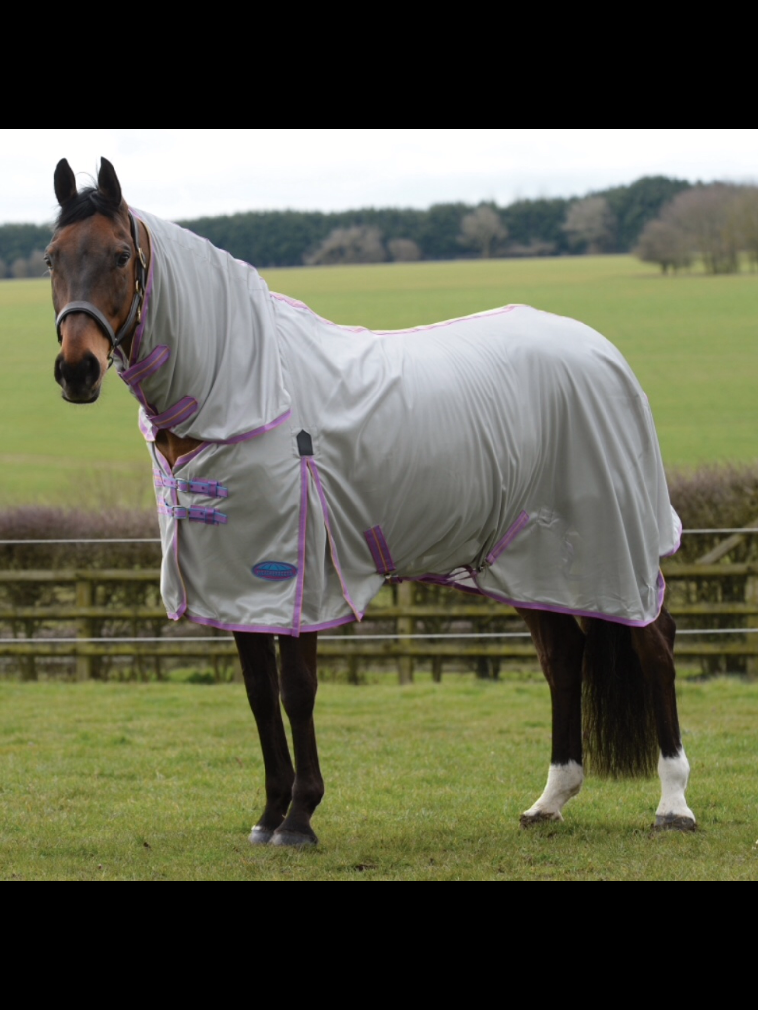Barnsby Equestrian Waterproof Horse Winter Blanket/Turnout Rug with Neck Combo 1200 Denier with 200g Fill 