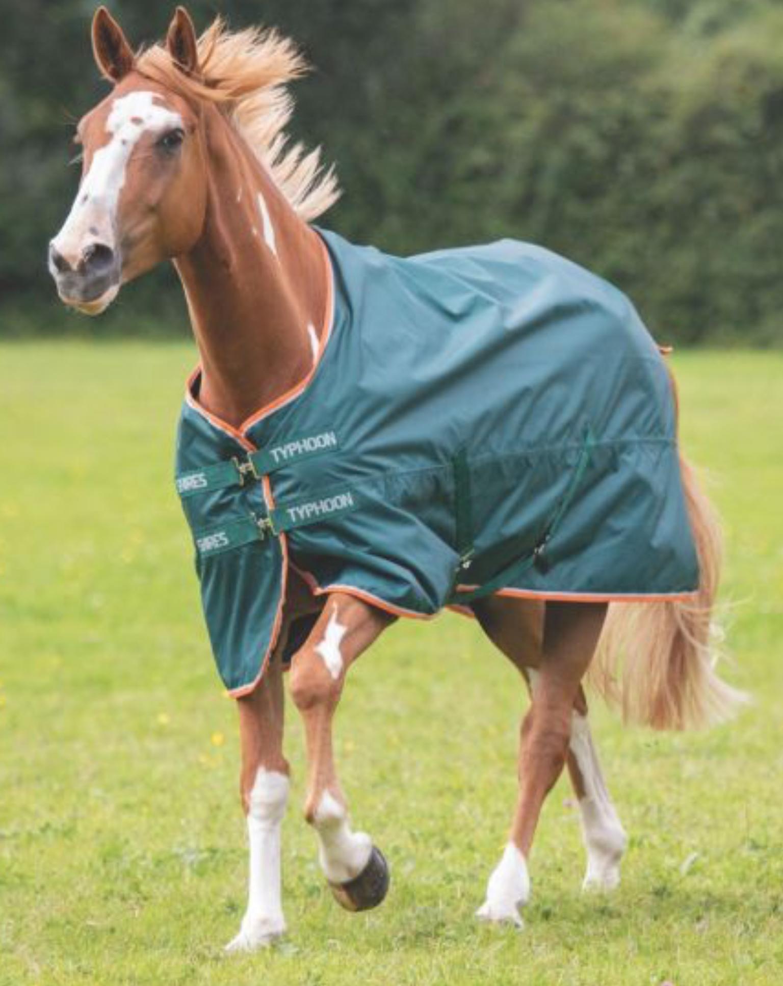 Typhoon 50 Shires Typhoon Lite - Tappeto Per Affluenza, Colore: Verde