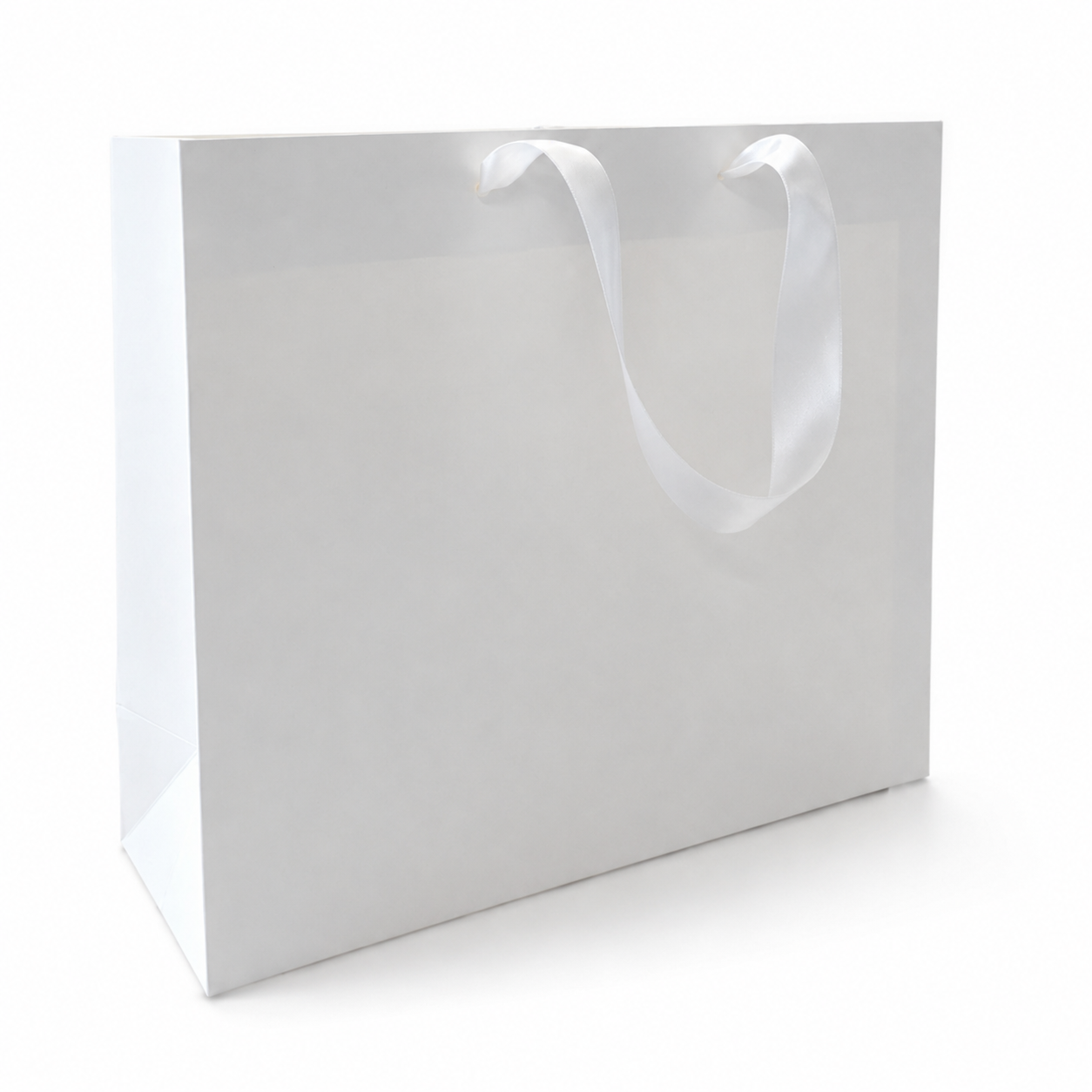 luxury gift bag