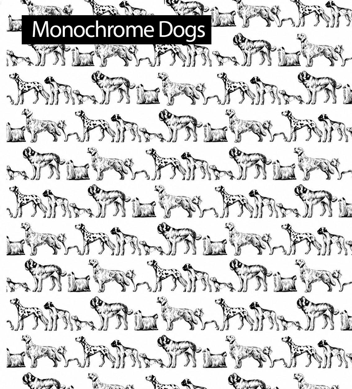 dogs gift wrap paper