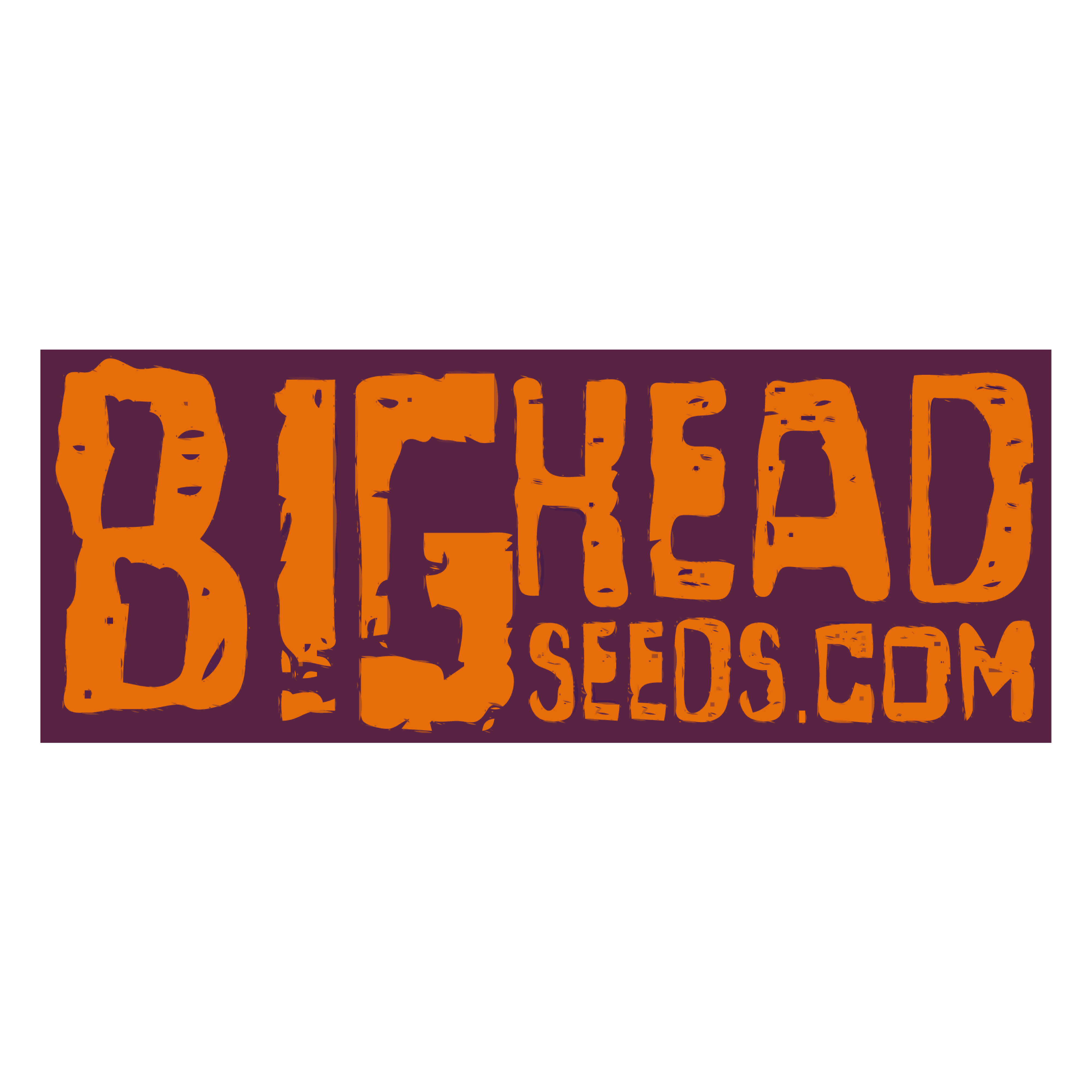 Big Head Seeds