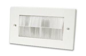 Triax Double Brush Wall Plate
