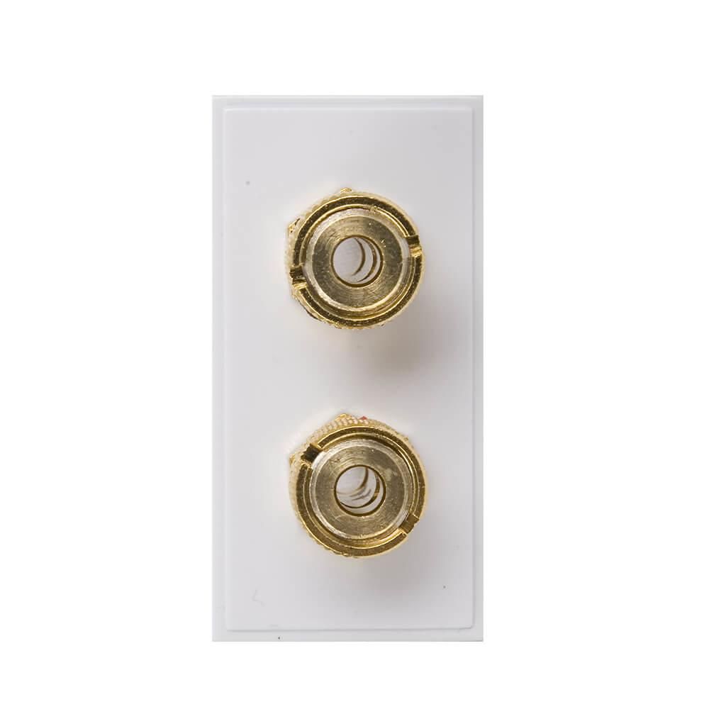 Twin Loudspeaker Module White