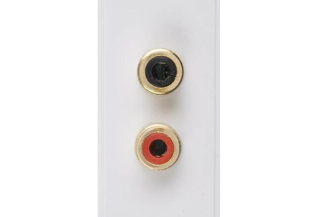 Triax Twin RCA Module - White