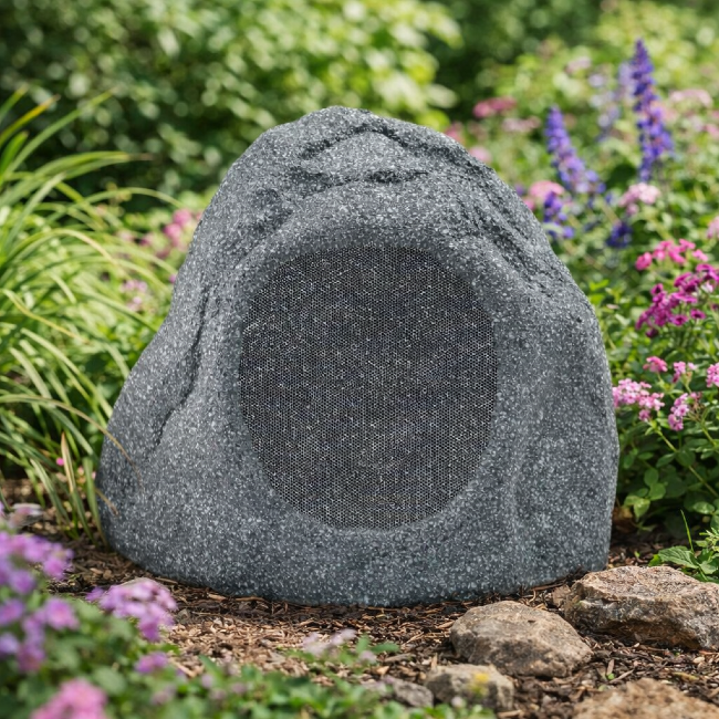 Q Install QI65LW Rock Speaker