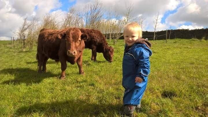 Clarkson's Farm and Bovine TB: We've Lived It Too