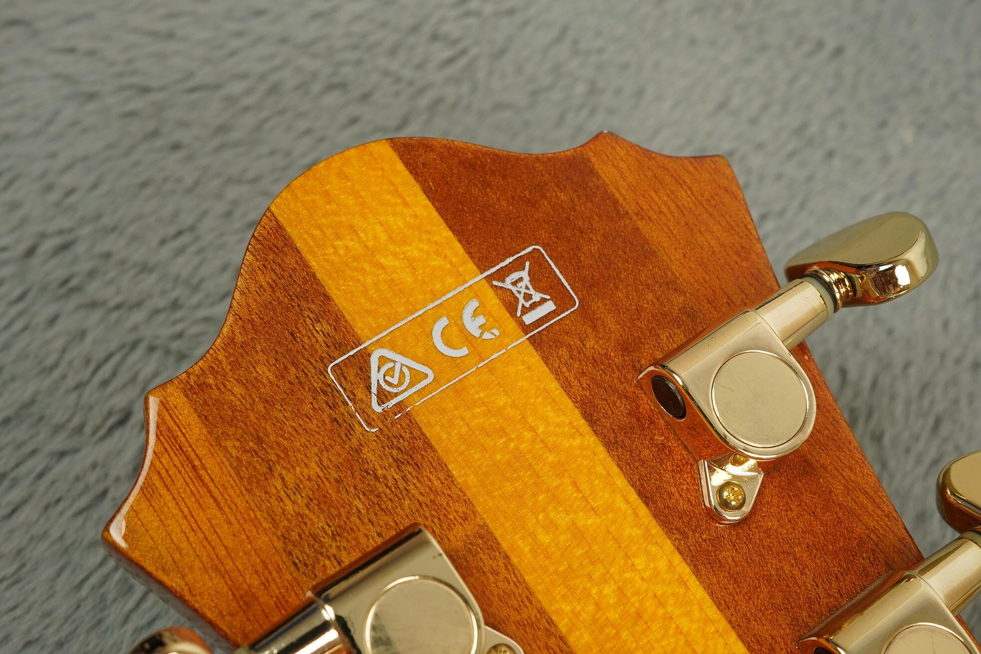 Ibanez Pat Methney