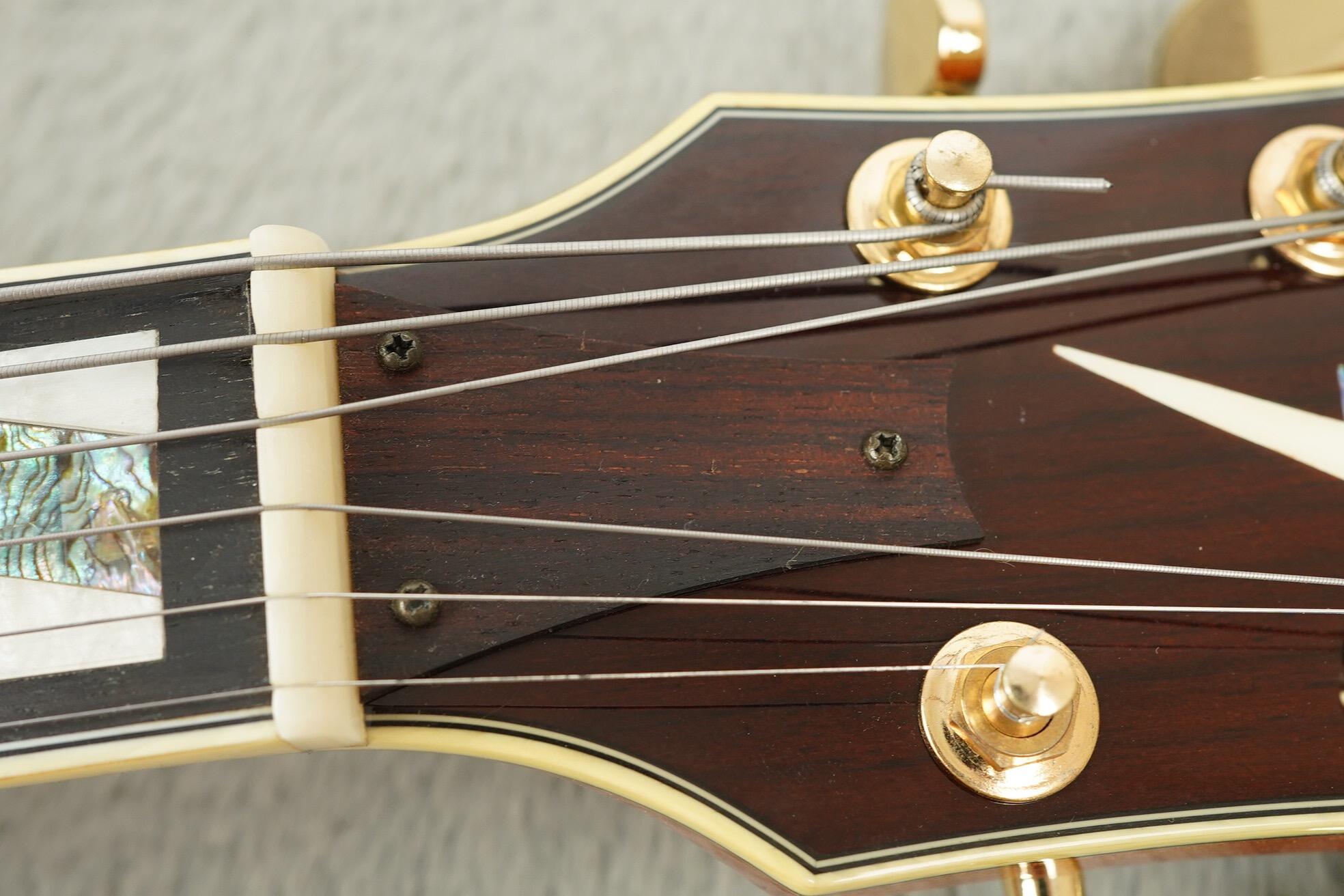 Ibanez Pat Methney