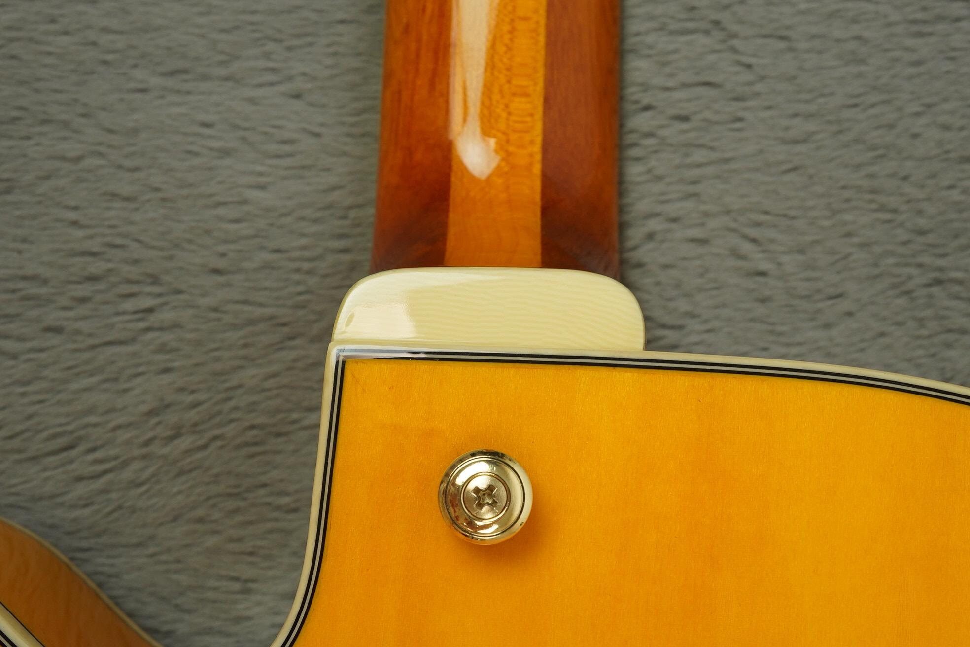 Ibanez Pat Methney