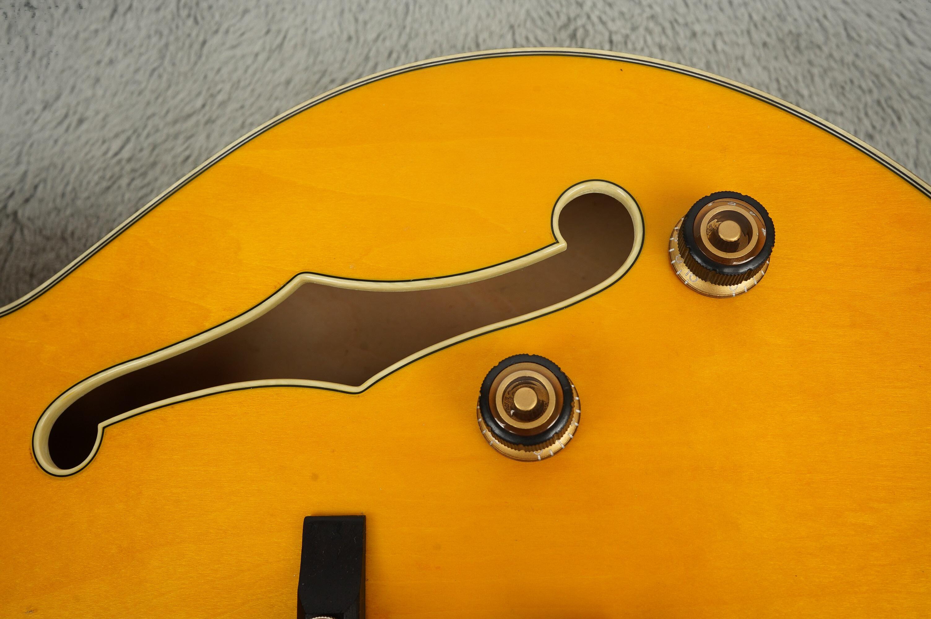 Ibanez Pat Methney
