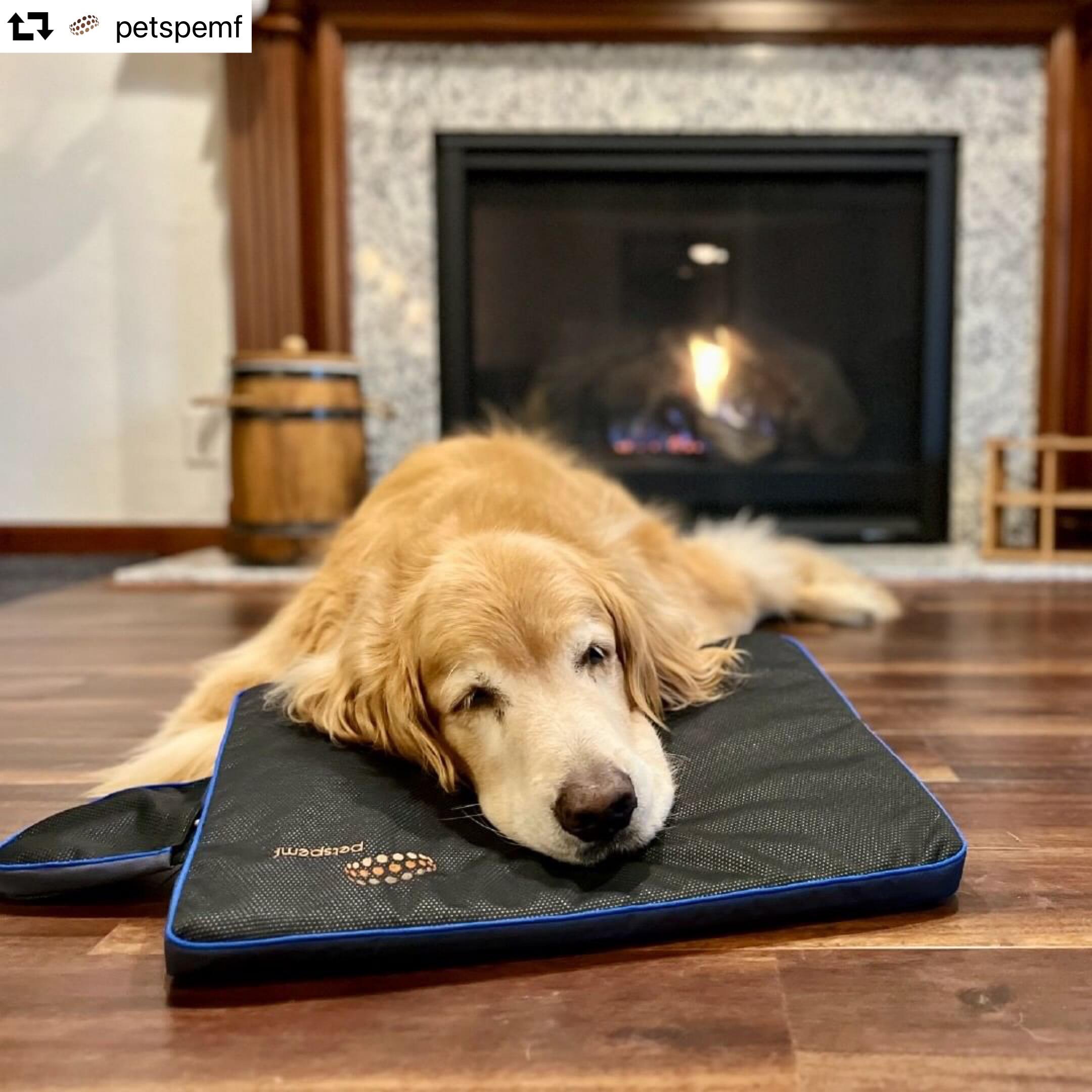 Proven Pet Pemf device for dogs Home Use