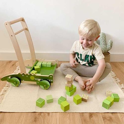 Wooden building blocks with walker