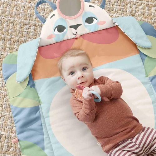 Fisher Price Activity Mat