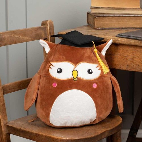 Mumbles Squidgy Wise Owl
