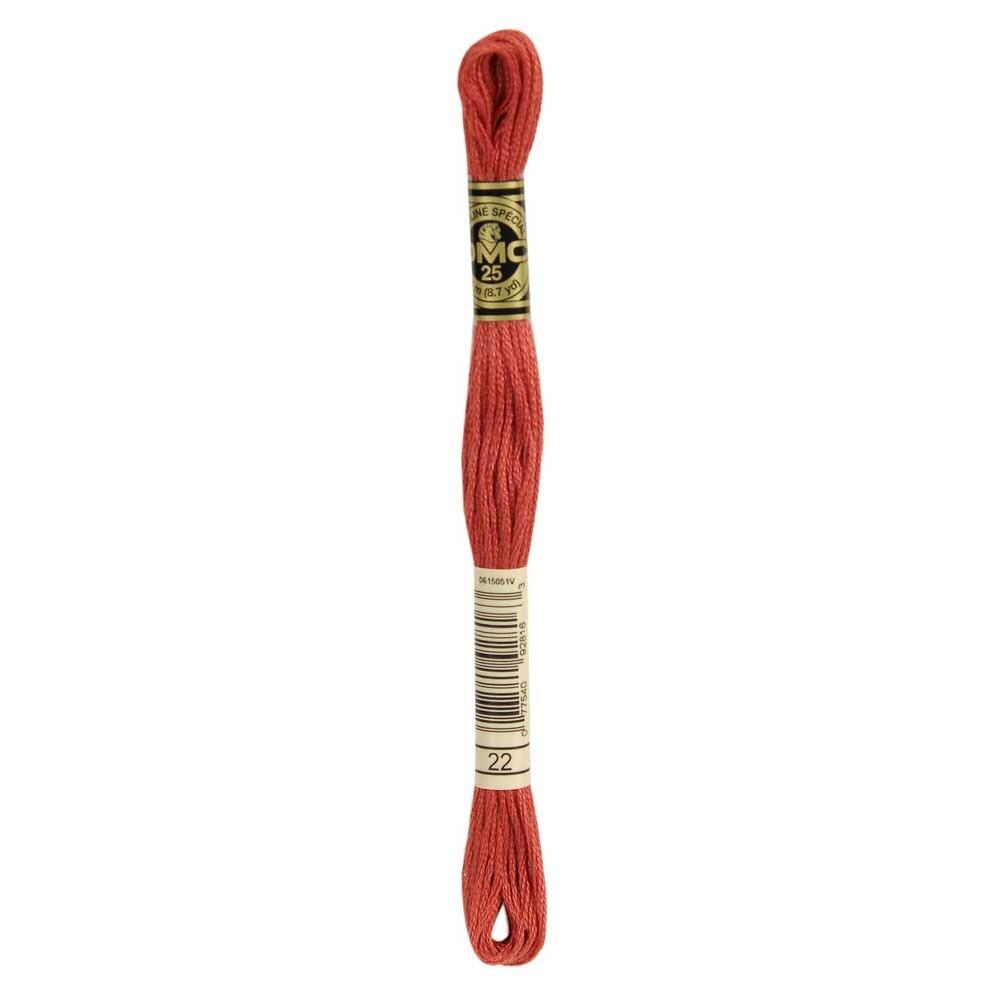 DMC Mouliné Stranded Cotton 8m Skein - 22