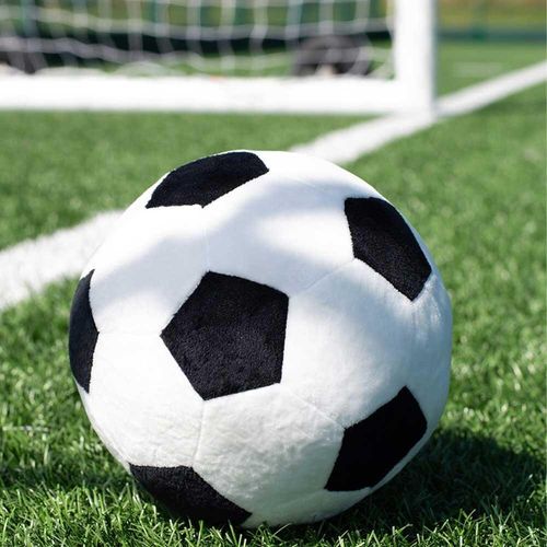 Mumbles Zippie Football