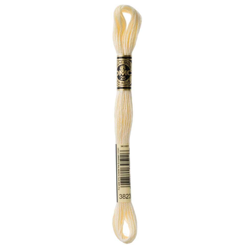DMC Mouliné Stranded Cotton 8m Skein - 3823