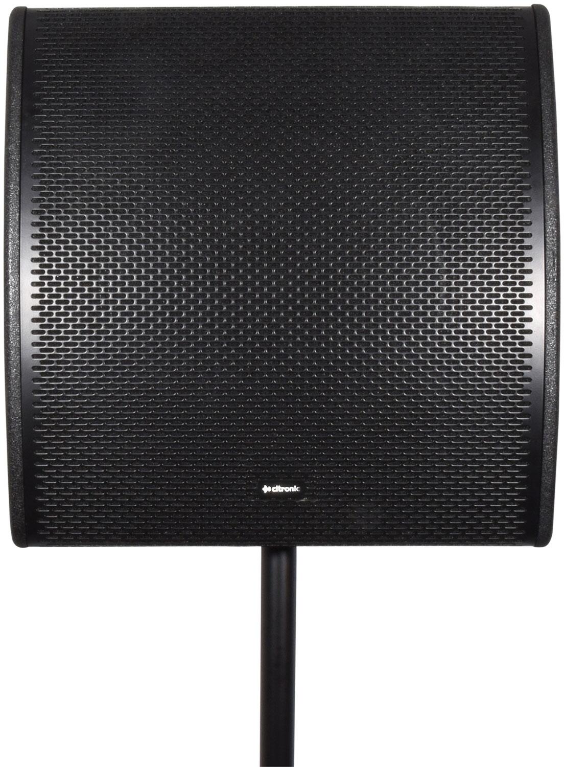 Citronic CM15 Passive Wedge Speaker on pole front