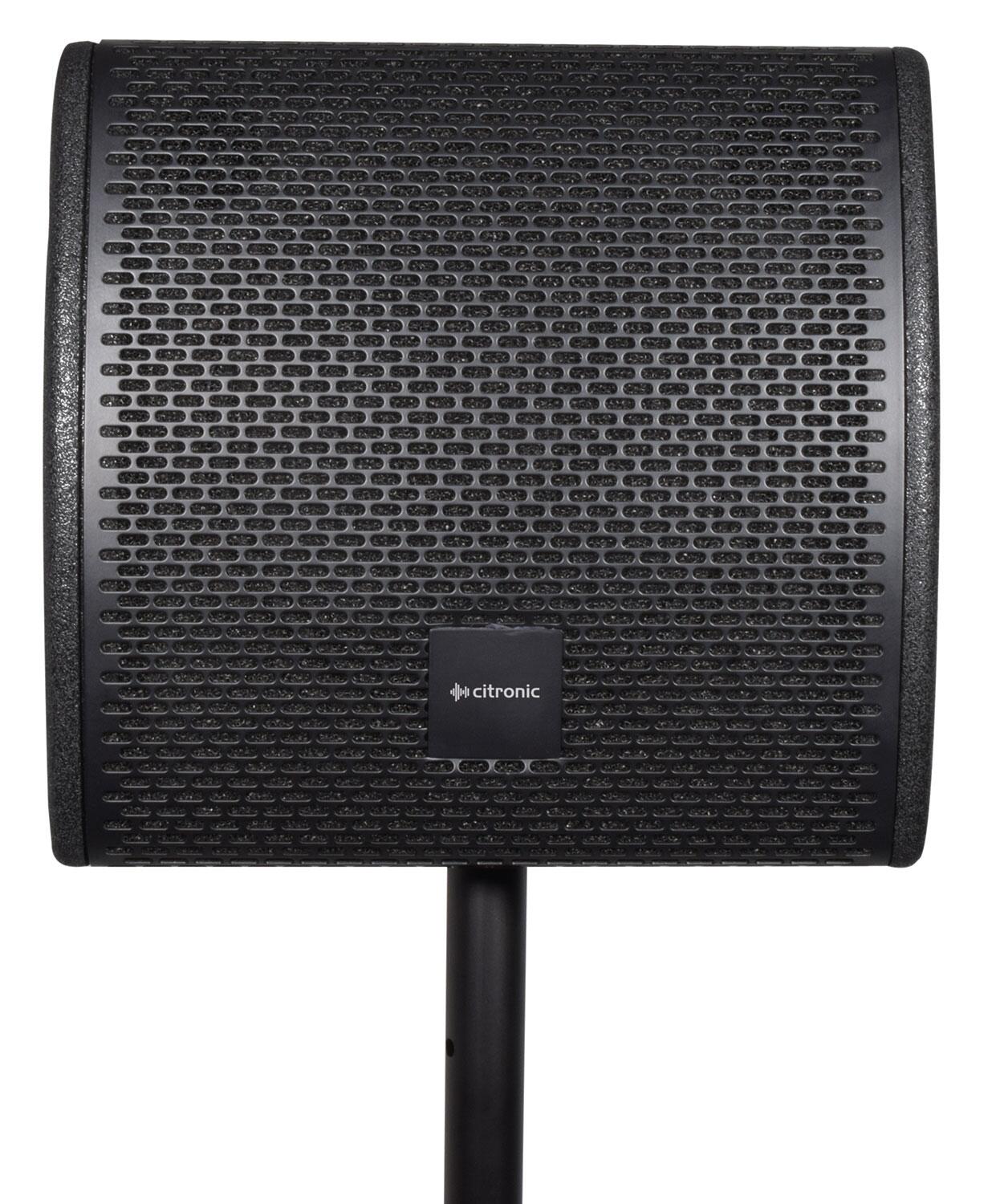 Citronic CM10 Passive Wedge Speaker on pole front
