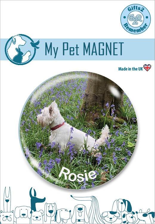 Personalised Pet Photo Magnets | Backing Card / Presentation Example. Custom Magnet Gifts Featuring Pets.