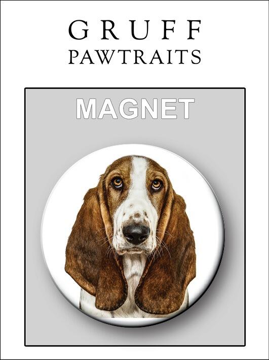 Bulk Custom Fridge Magnets | Presentation Option for Dog Fridge Magnets. Euroslot/Barcoding Available