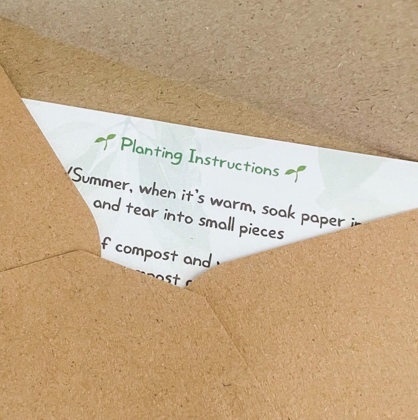Planting instructions inside a brown kraft envelope
