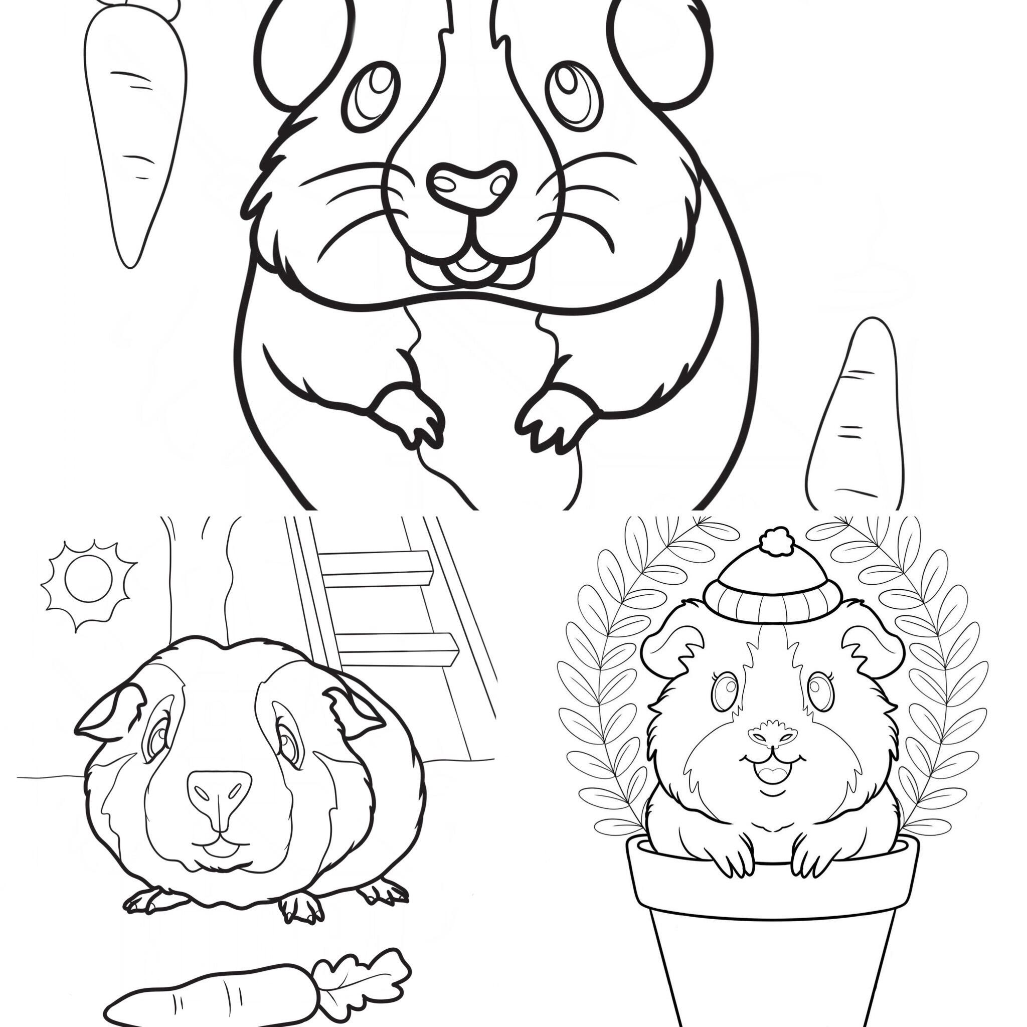 Guinea Pig colouring book pages 1