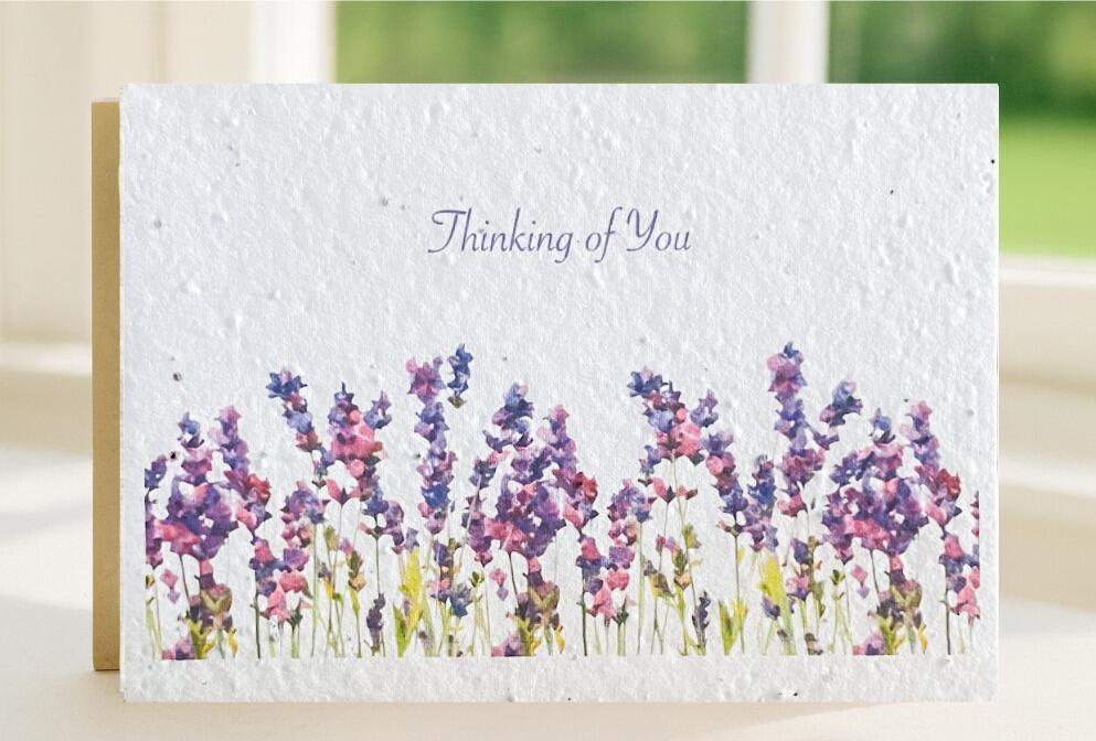 Thinking of You lavender 1